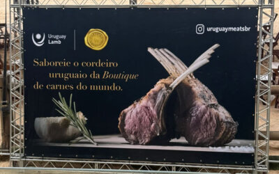 Festival Tannat & Cordero -2025