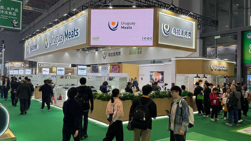 PORTADA STAND CIIE 2025 1