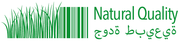 Logo_NQ_ENG+ARA_2026_verde 4