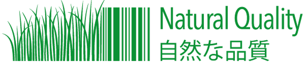 Logo_NQ_ENG+JAP_2026_verde 12